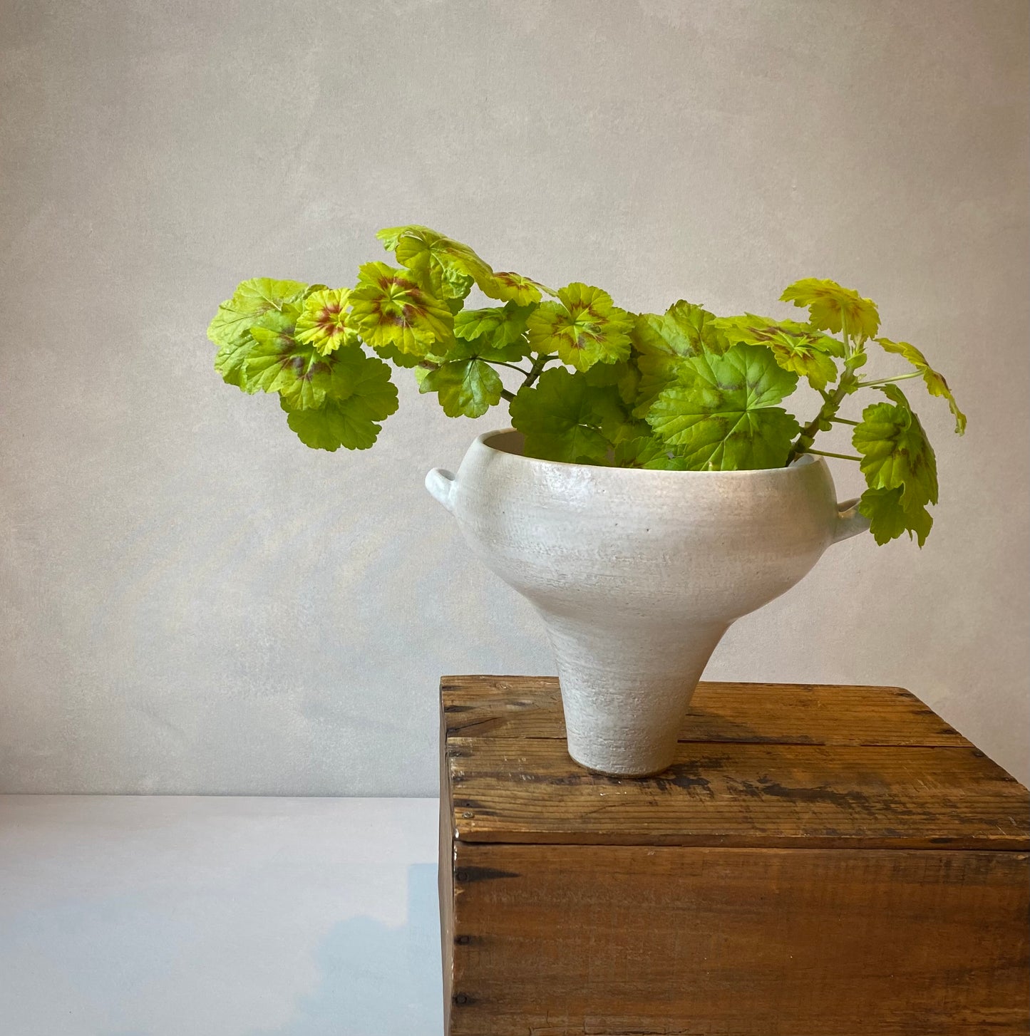 Pedestal Vase | Large