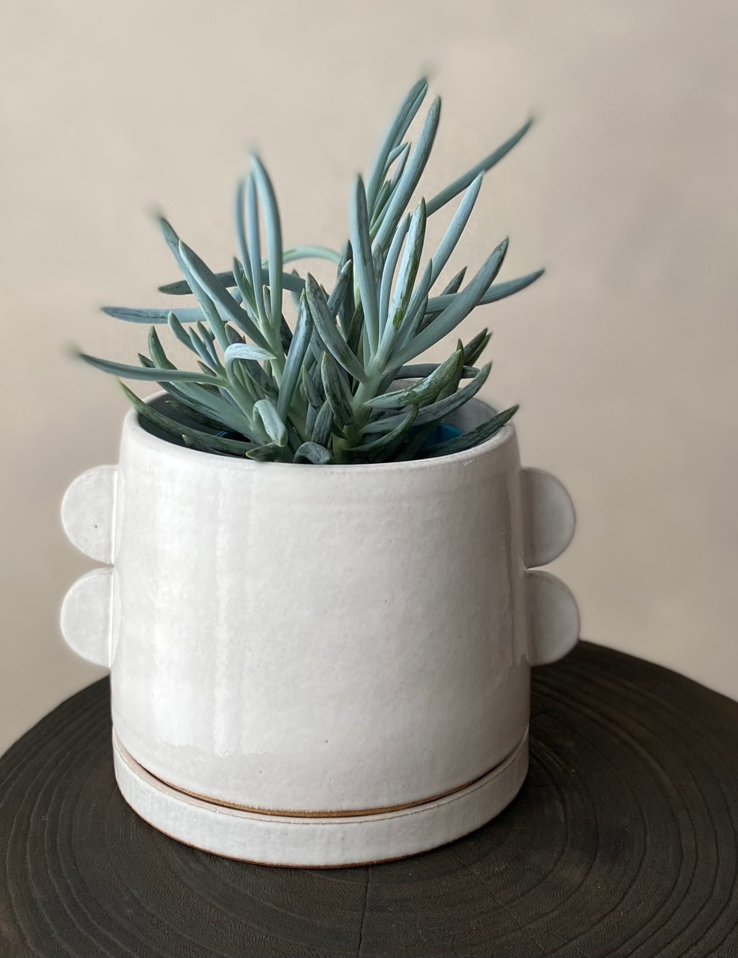 Tab planter | gloss white 1