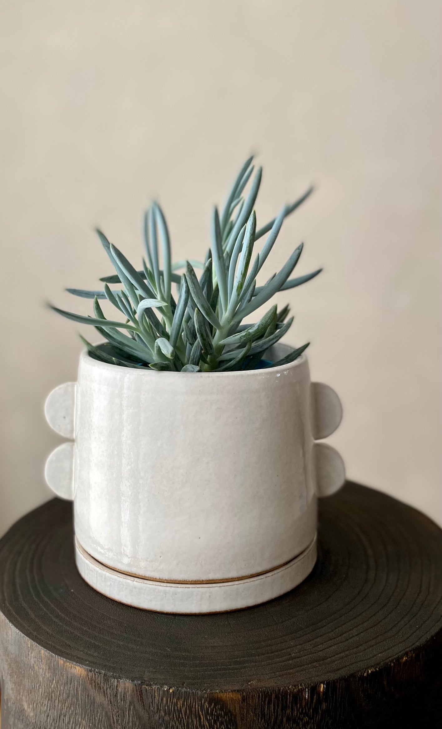 Tab planter | gloss white 1