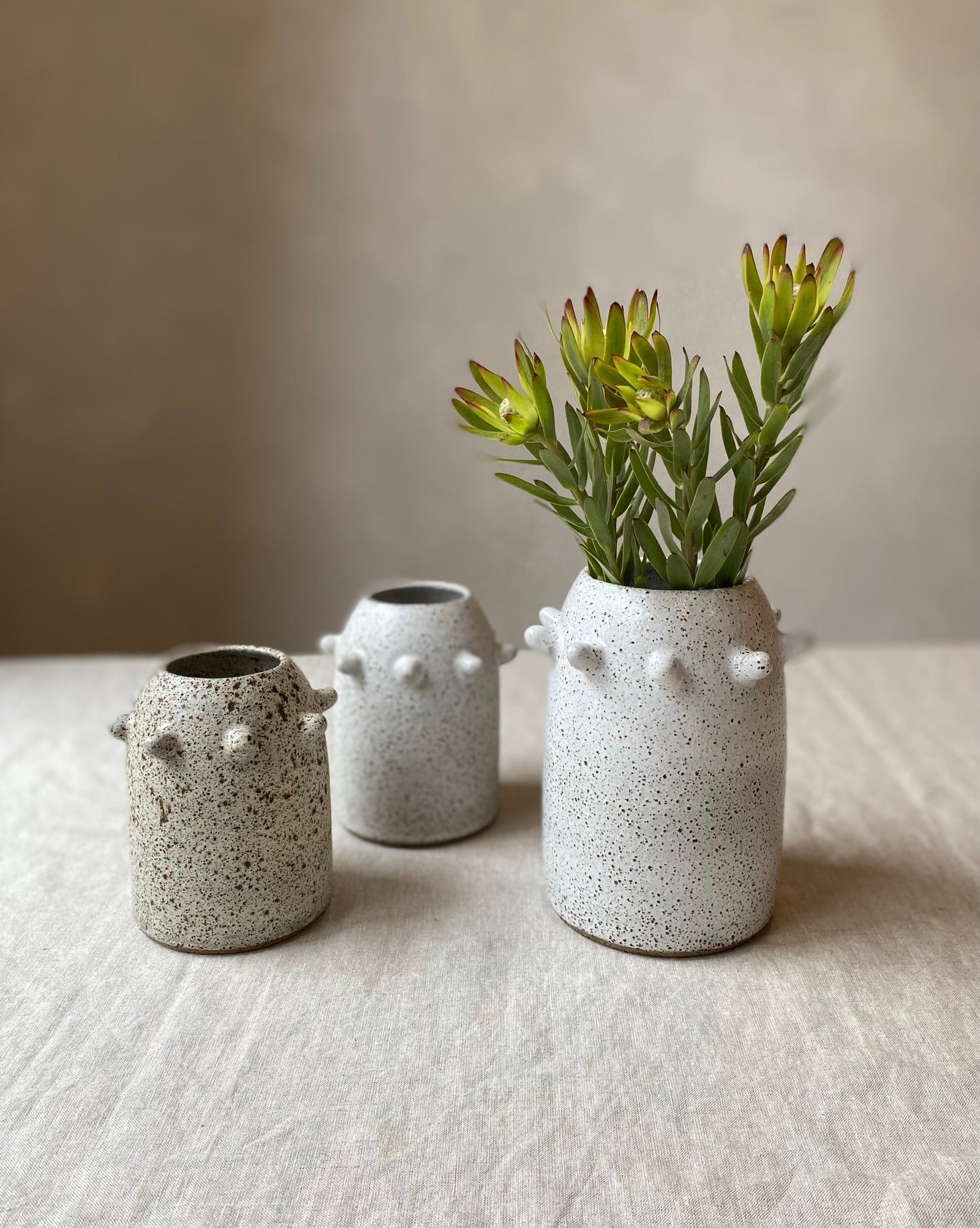Urchin vase | large speckled