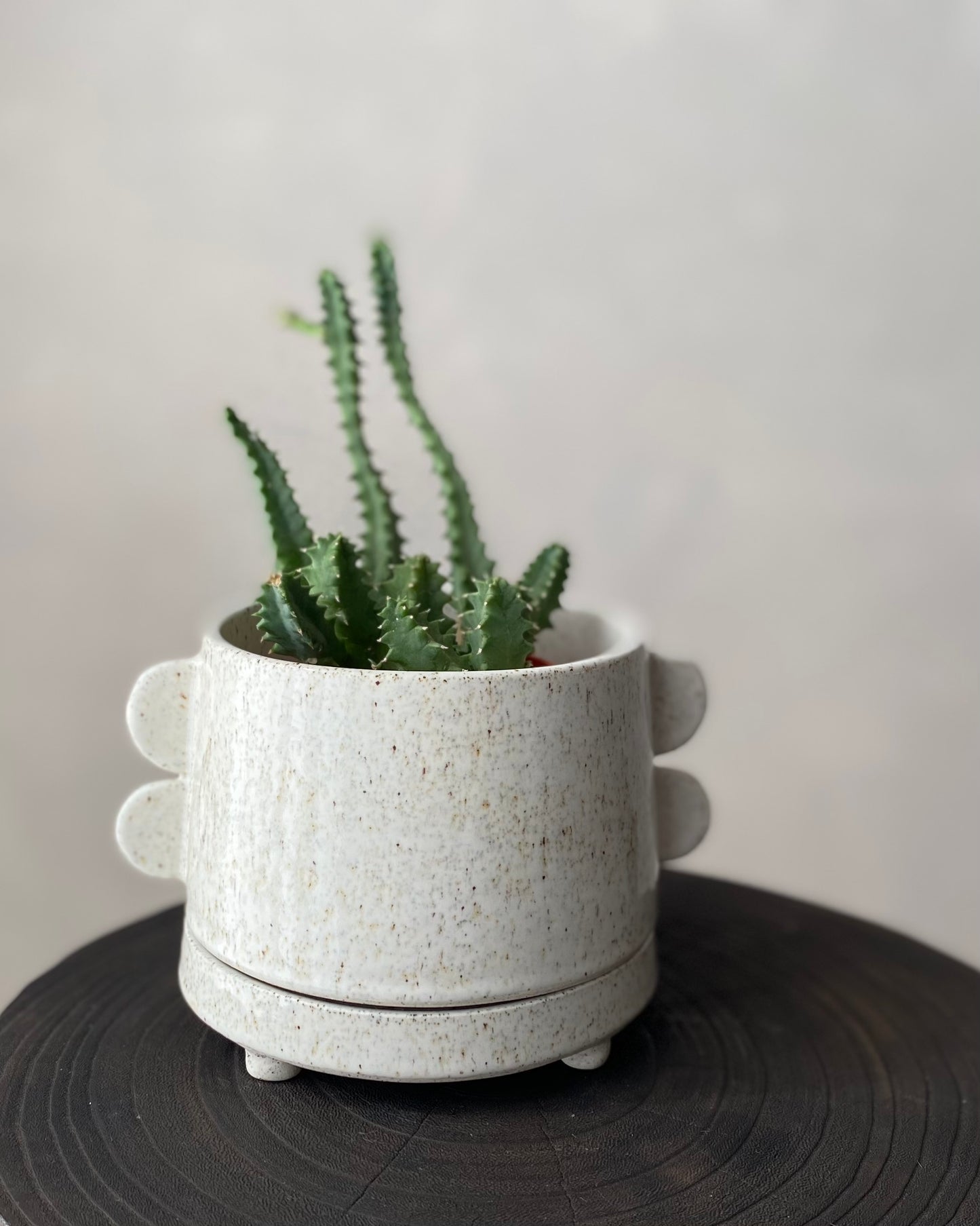 Speckled tab planter | small