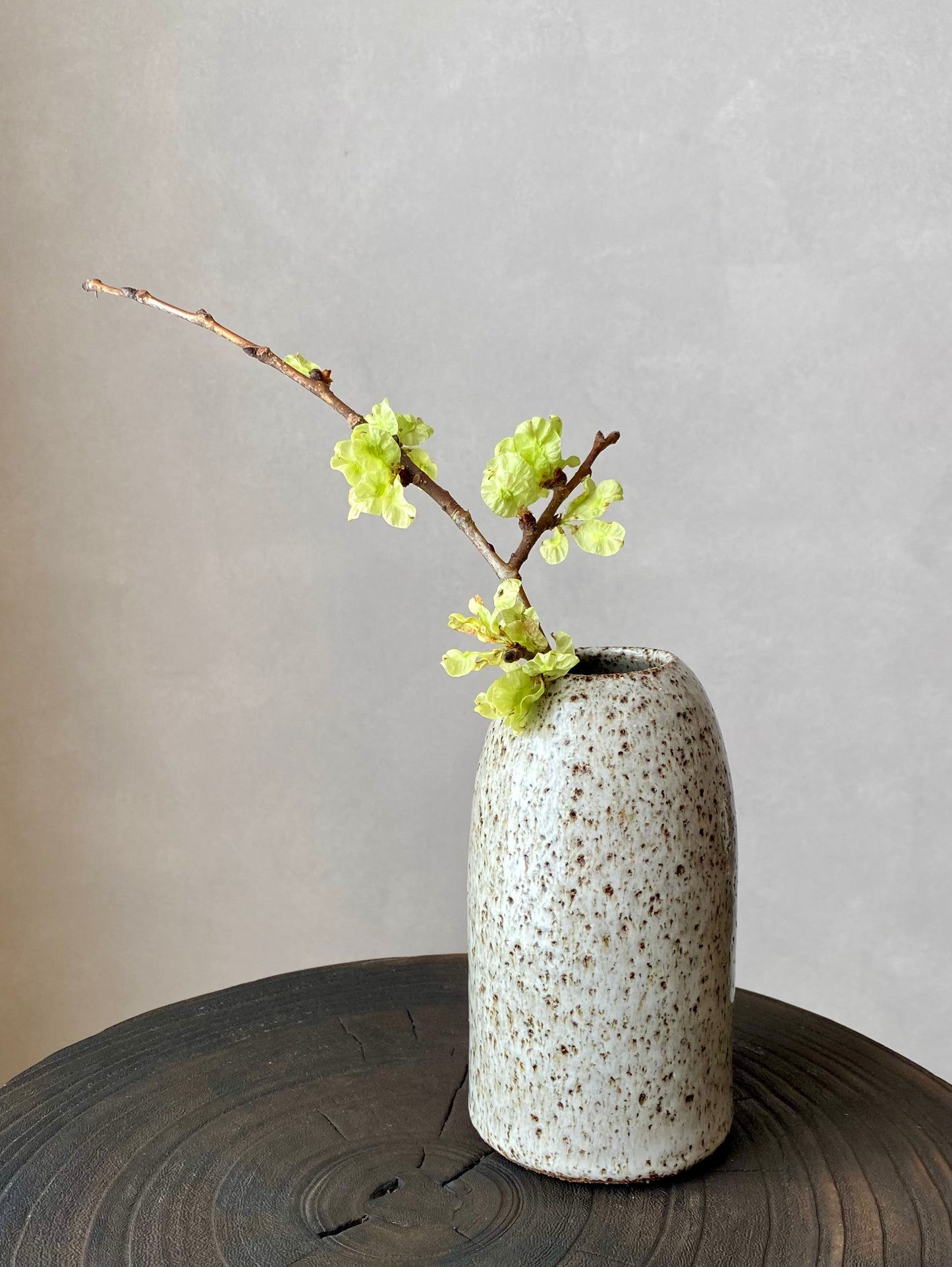 Speckled vase