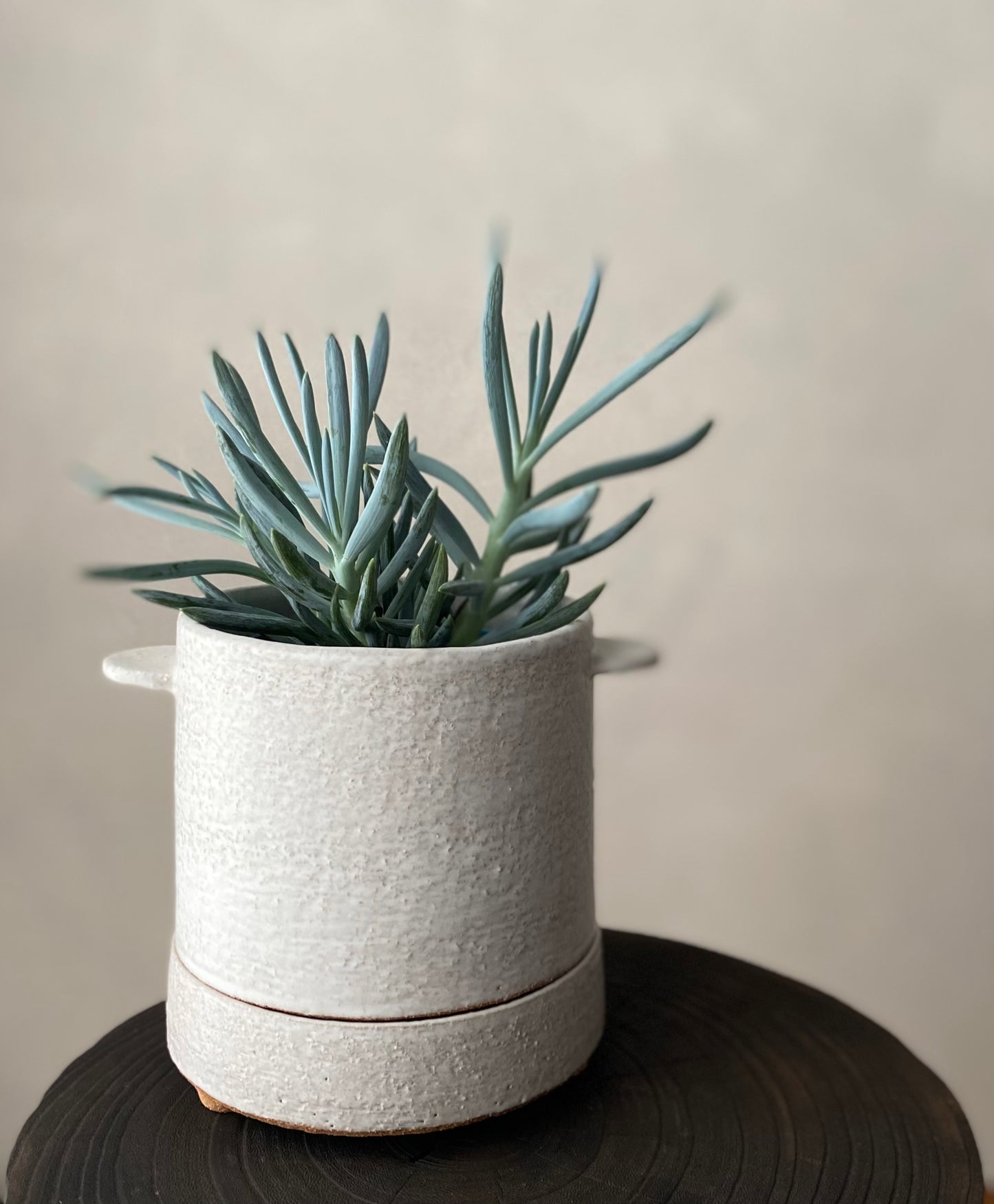 Tall planter with tab handles | matte white