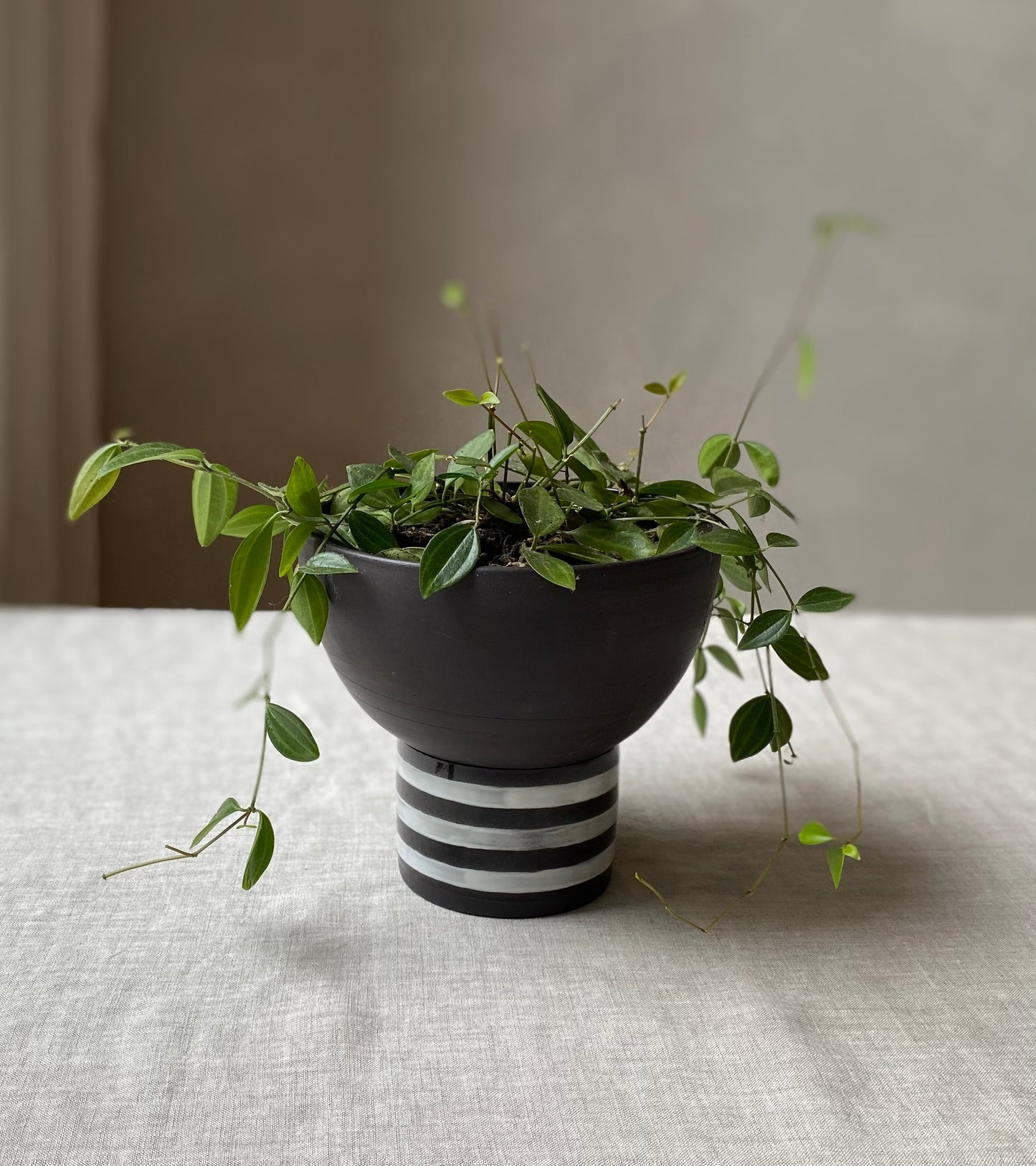 Pedestal Planter | Black and White