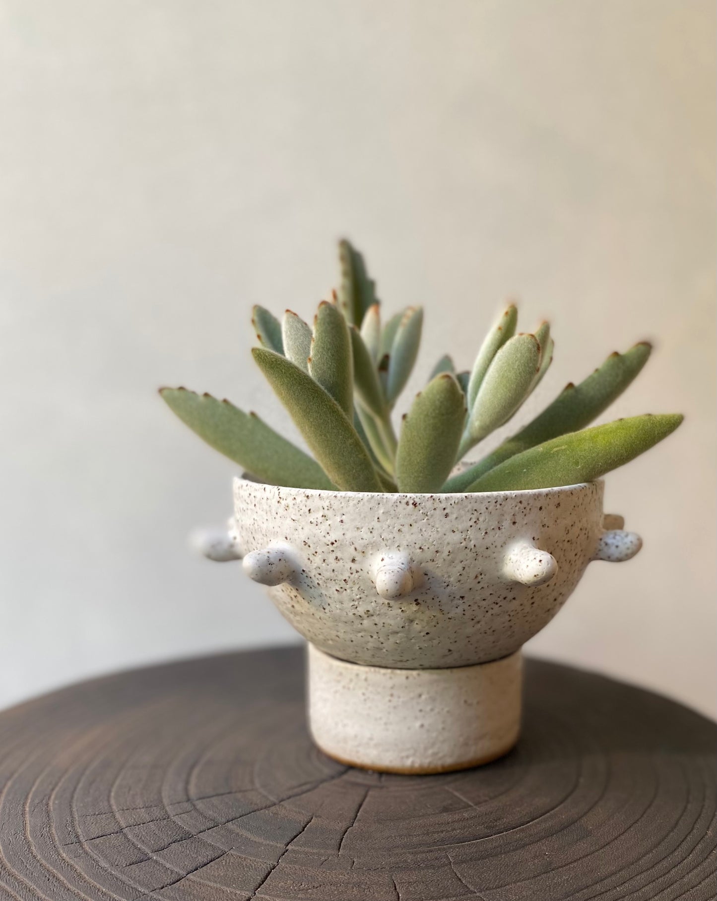 Urchin planter | White speckled