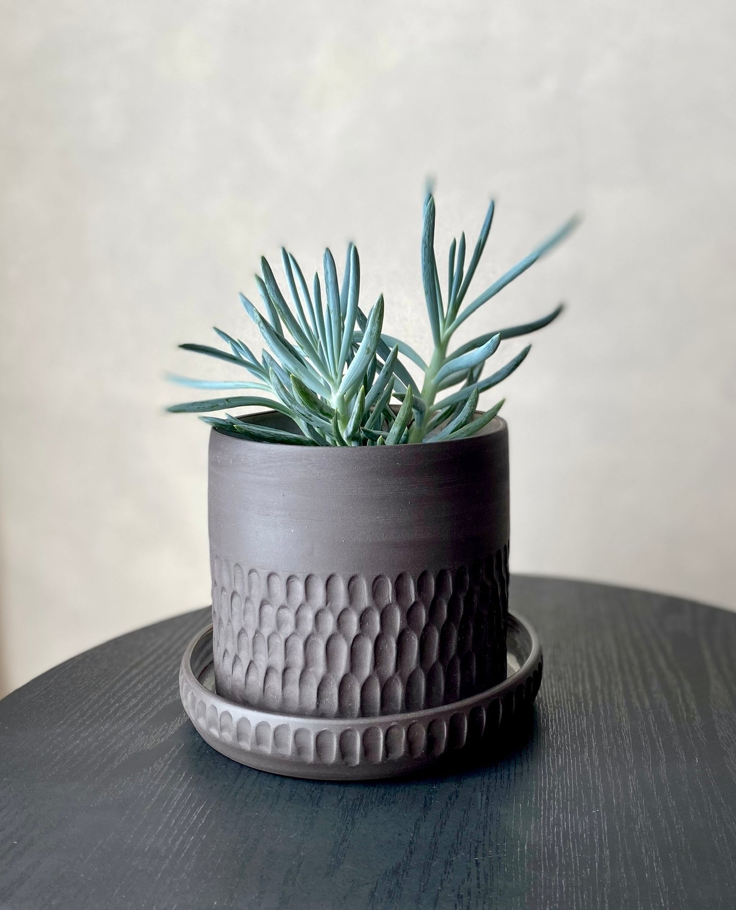 Carved Planter | Black