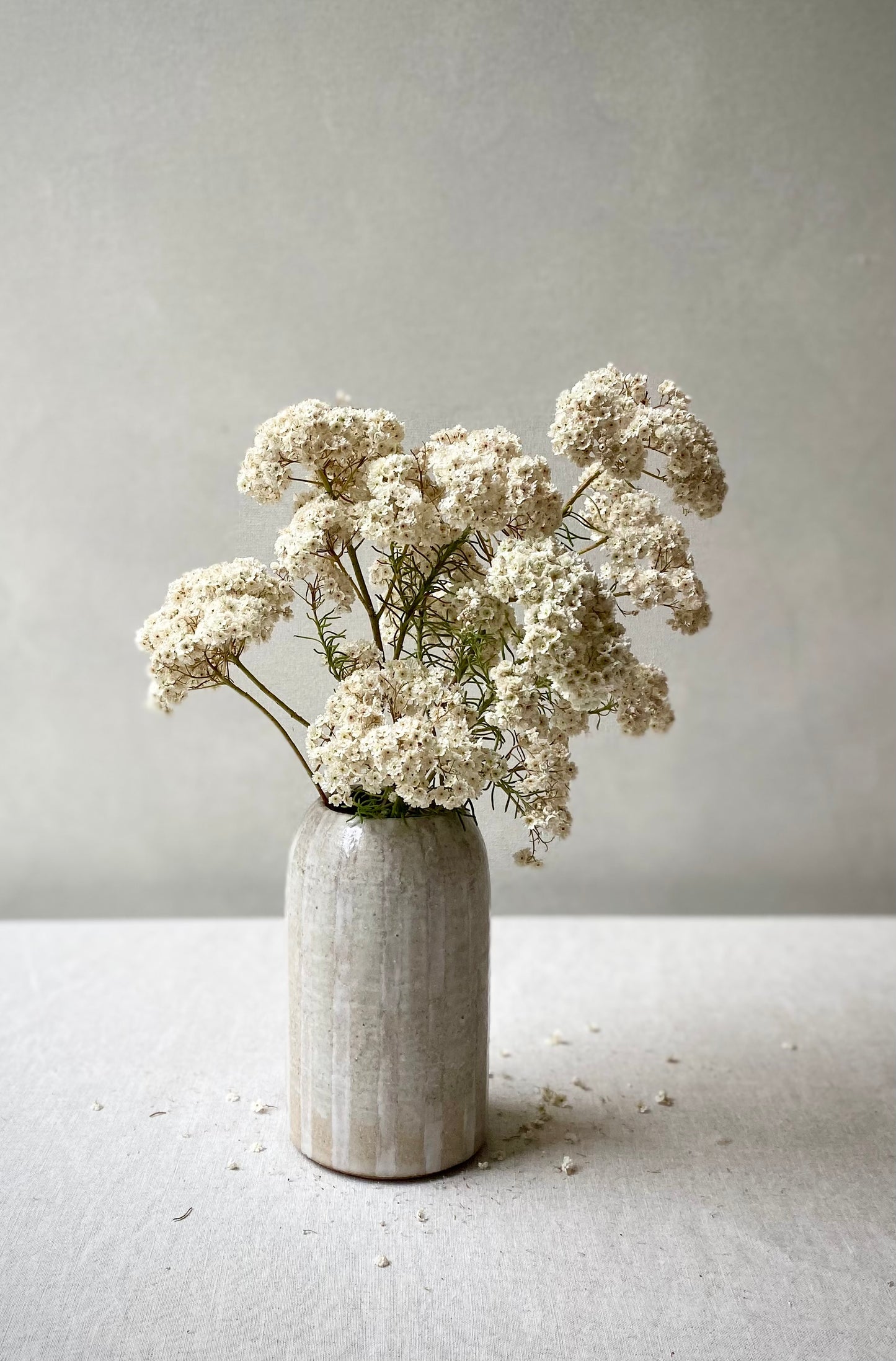 Stripe Vase | Cream & White | Small