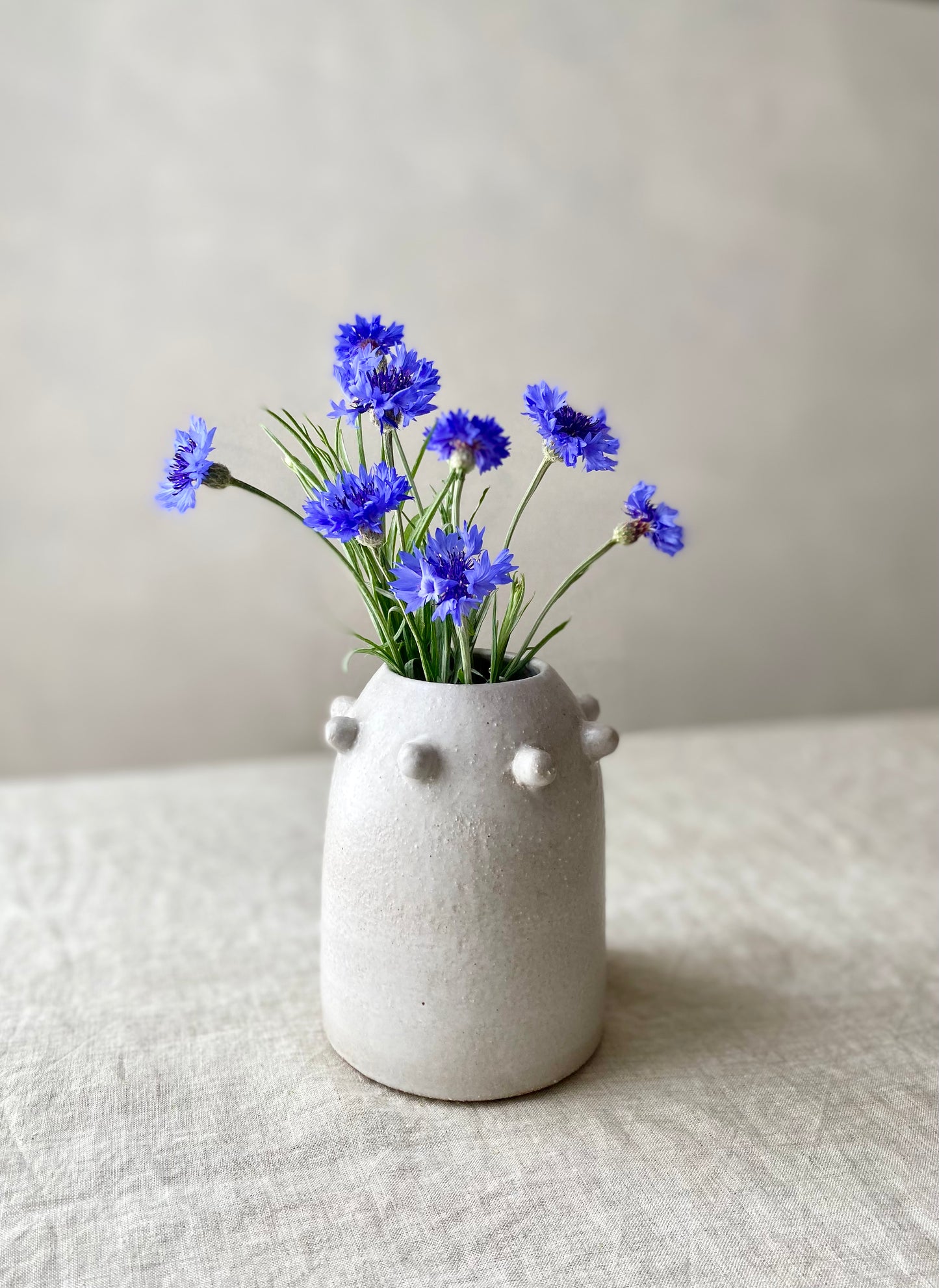 Urchin vase | medium