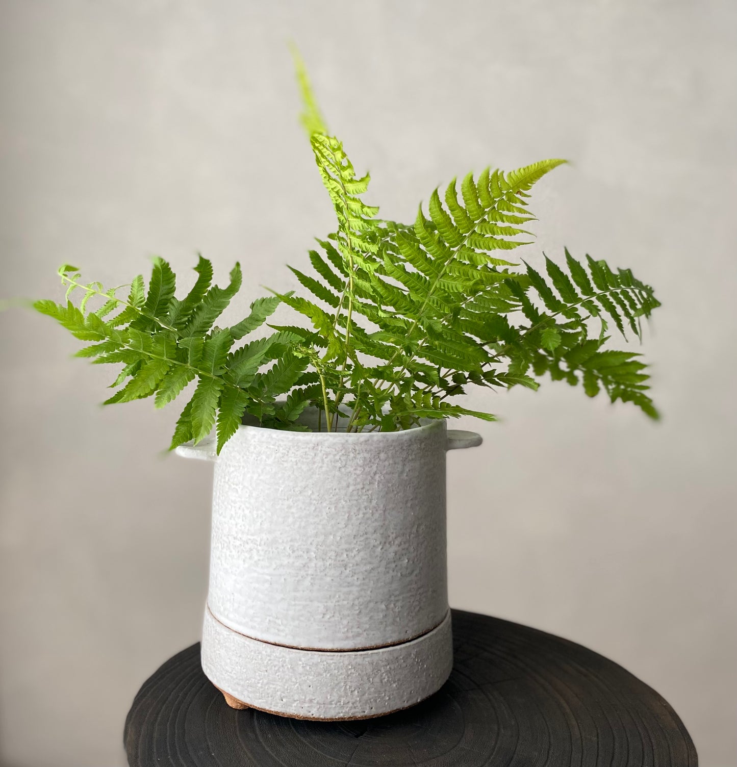 Tall planter with tab handles | matte white