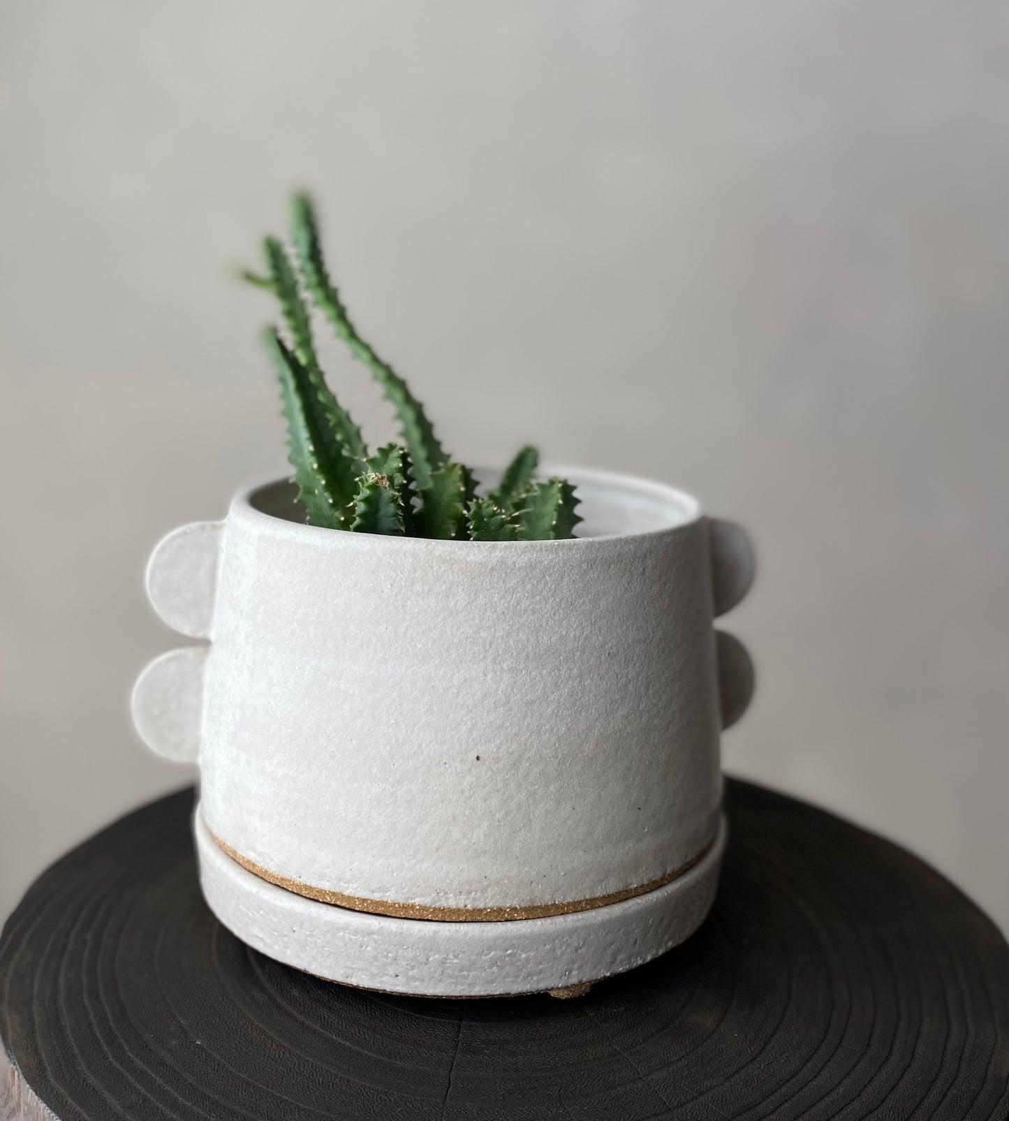 Tab planter | matte white